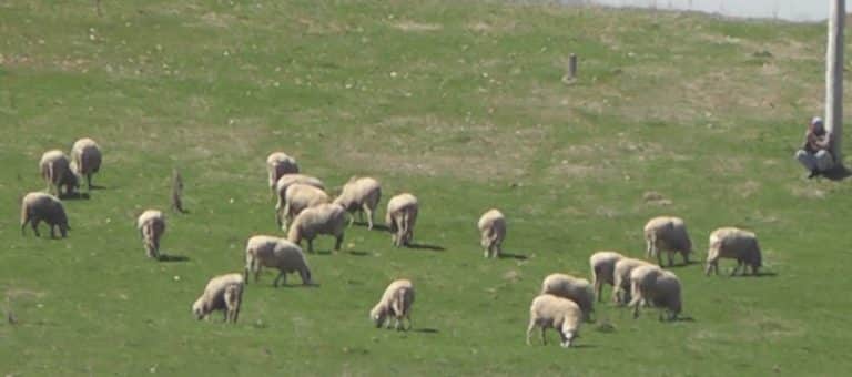 Vojska doprema vodu za šest sela na Pešterskoj visoravni