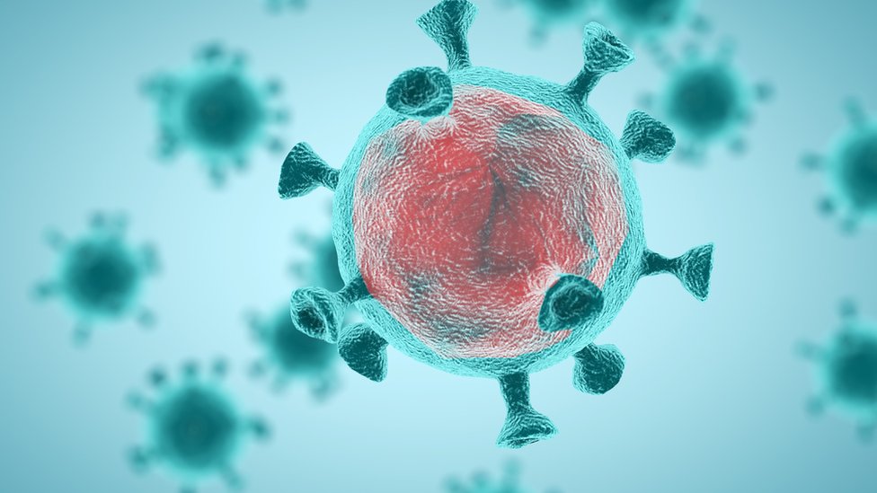 Korona virus: Osam stvari koje smo naučili u protekloj godini pandemije
