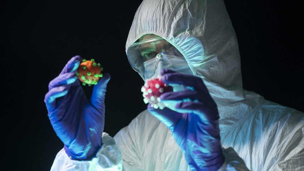 A doctor holding two models of the virus