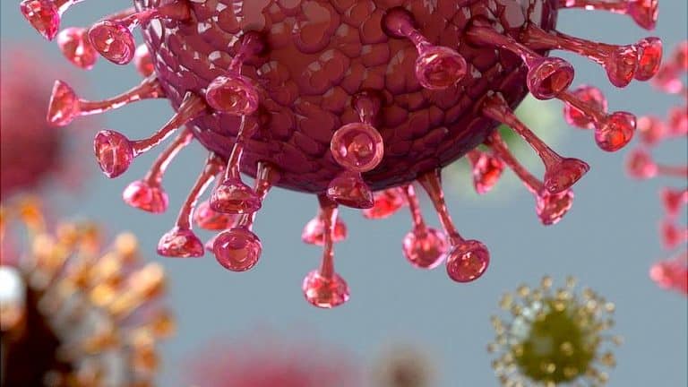 Korona virus: „Odmah uvesti obaveznu vakcinaciju zdravstvenih radnika u Srbiji“, prvi slučaj zaraze u Olimpijskom selu u Tokiju