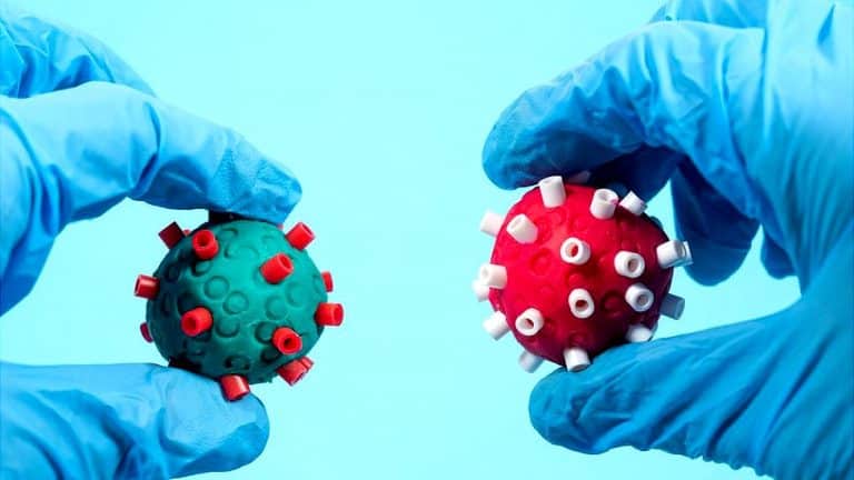 Korona virus: Troje preminulih u Srbiji, Krizni štab poziva na imunizaciju, u Grčkoj i Francuskoj obavezno vakcinisanje svih zdravstvenih radnika