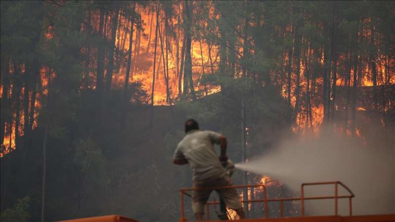 Ugašena 152 od 163 požara u Turskoj