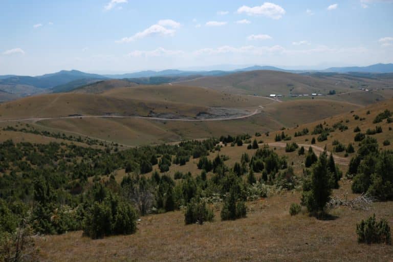 Dunav osiguranje nudi posebne uslove za poljoprivrednike (video)