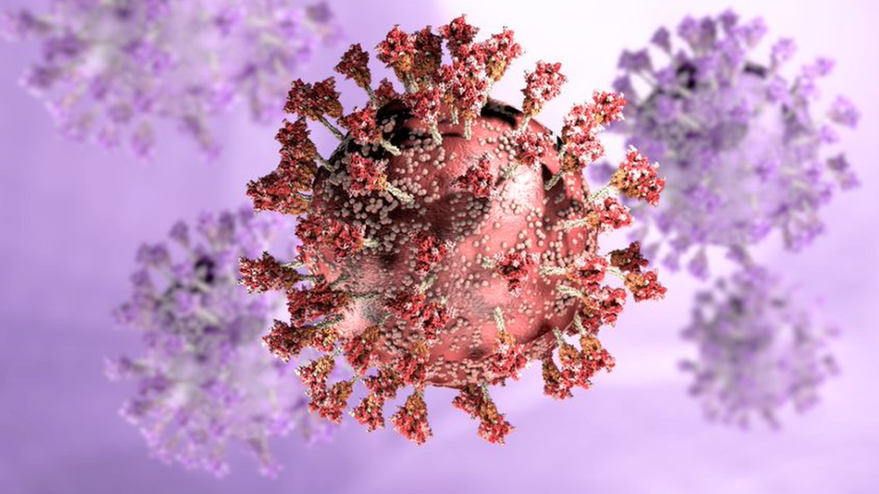 Korona virus i nauka: Odakle potiče omikron soj i kako je nastao