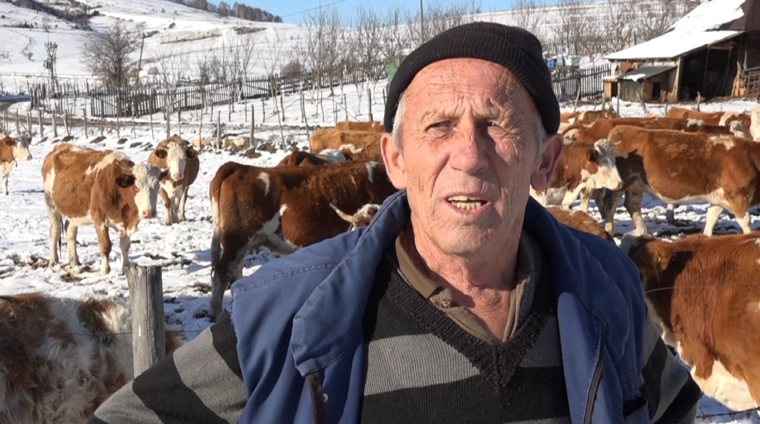 Poljoprivrednike sa Pešteri čeka teška zima (video)