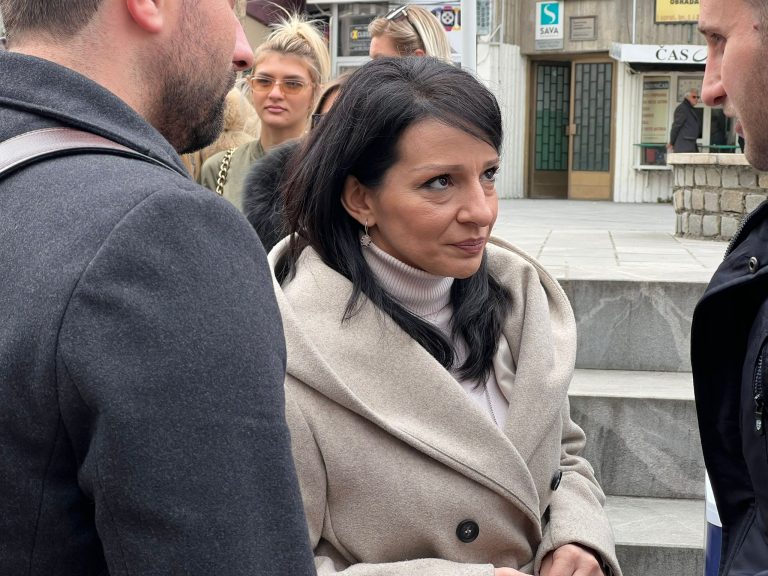 Tepić: Cilj je da se posle izbora zaustave haos i podele