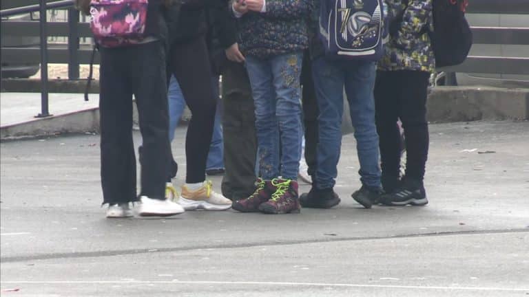 Prosvetari traže da se zbog jedinice iz vladanja ponavlja razred