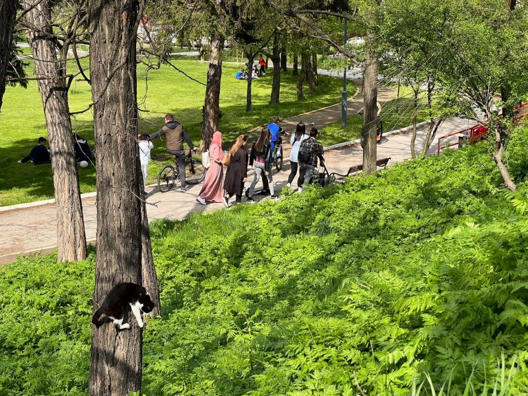 Kako će Novopazarci provesti 1.Maj? (video)