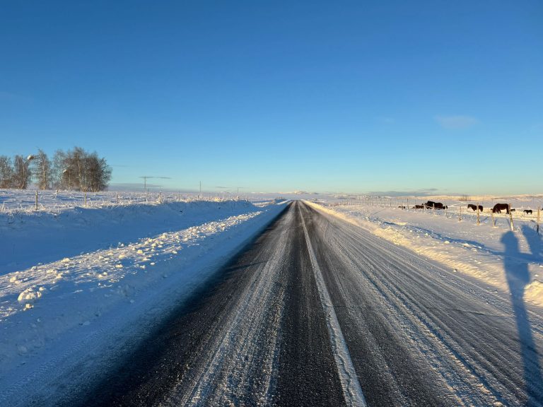 SJENICA Deset sela i dalje zavejano, pet sela bez struje (VIDEO)