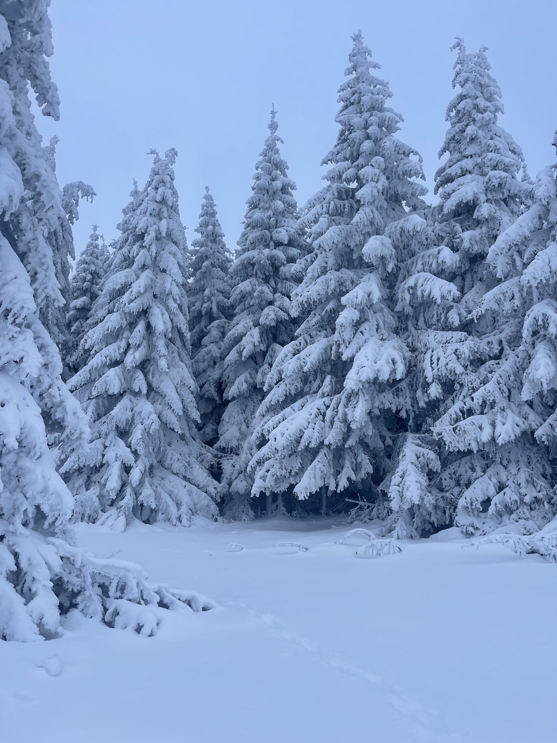 Poznato kada će pasti prvi sneg u gradovima Sandžaka
