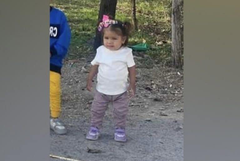 Aktiviran sistem „Pronađi me“: Devojčica Dunja Marković (2) nestala u Ubu