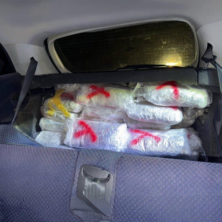 Novopazarska policija zaplenila više od 55 kilograma marihuane (VIDEO)
