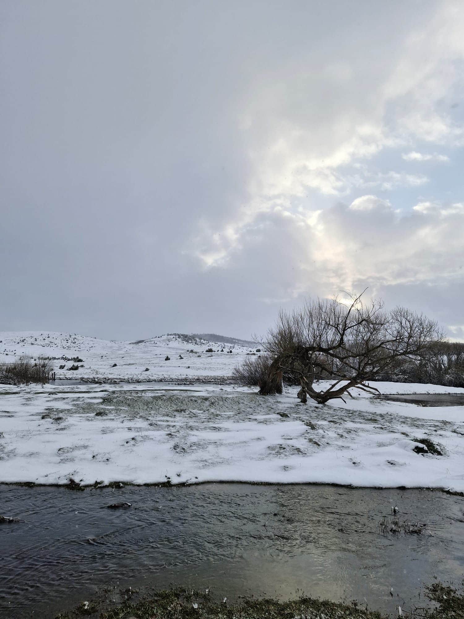 Foto: Emrah Leković