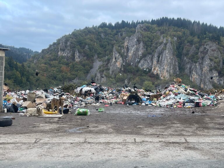 Deponija Mostine u Rožajama se zatvara nakon rešenja Agencije za zaštitu životne sredine (VIDEO)