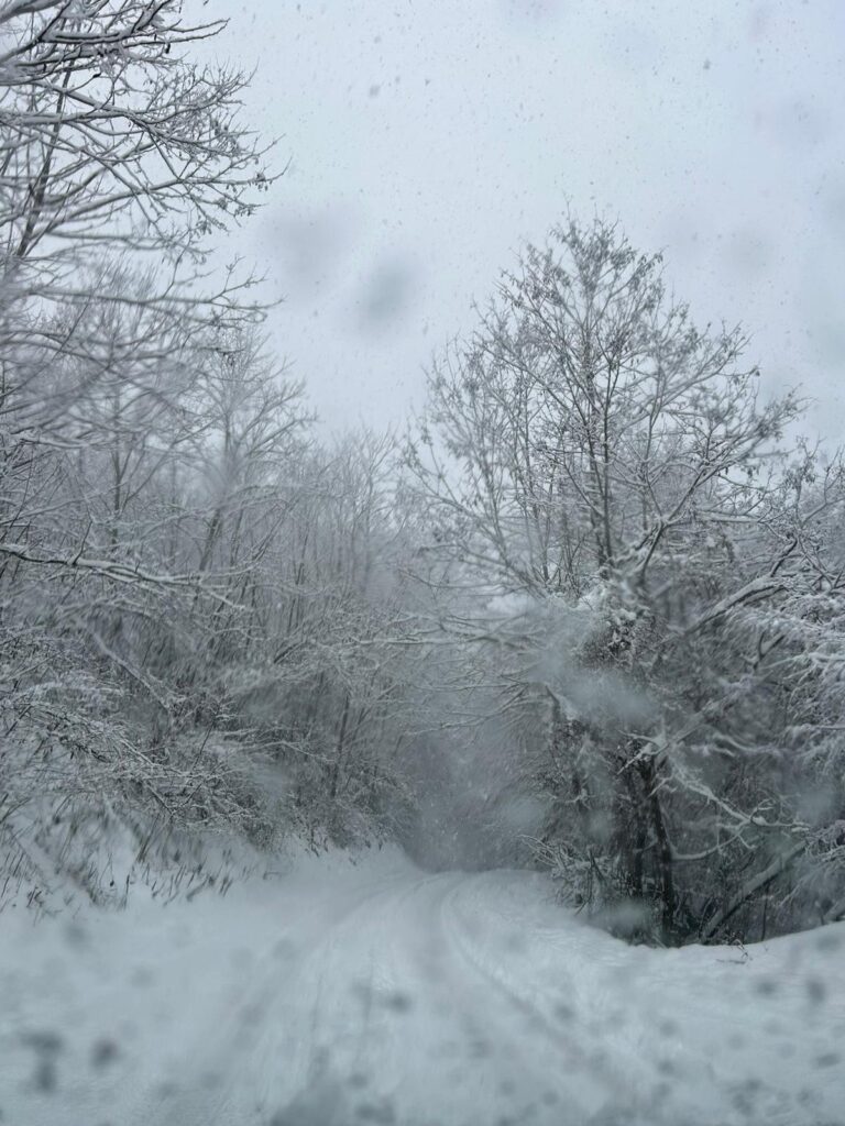 Snežne padavine u Prijepolju i okolini(VIDEO)
