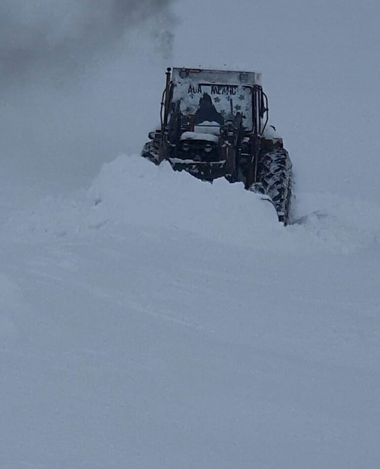 U Sjenici 700 domaćinstava odsečeno, bez struje i uz prekide u mobilnom signalu (VIDEO)