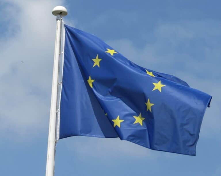 EU zabrinuta zbog lokalnih izbora u Srbiji: Navodi nepravilnosti i incidente