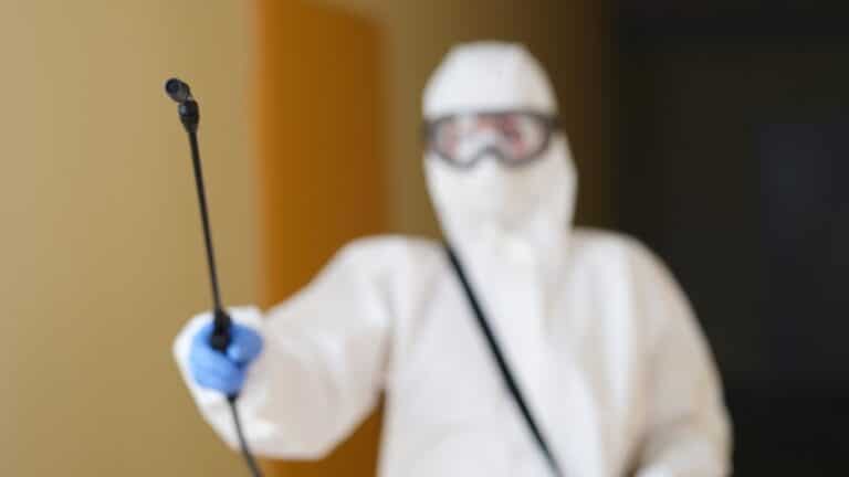 Deratizacija na više lokacija u Novom Pazaru: Građanima upućen apel na saradnju