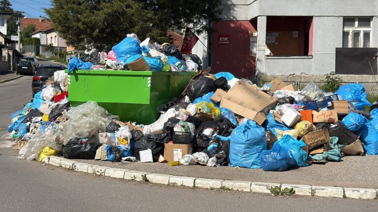 Sjenica puna smeća, trenutno nema rešenja problema (VIDEO)
