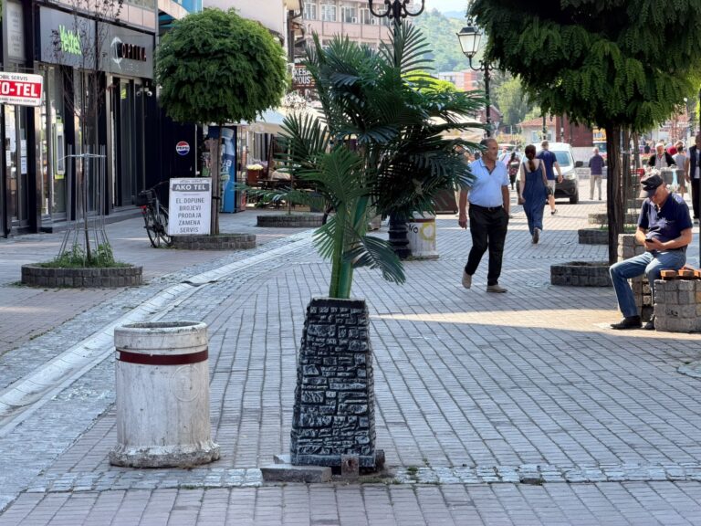 Nakon emitiranja na A1: Opasna kesa se pretvorila u palmu( VIDEO)