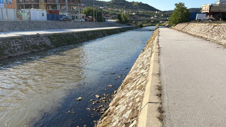 TOKSIKOLOG: Ovo nije iz domaćinstva, problem je mnogo veći i velika je šteta za životnu sredinu (VIDEO)