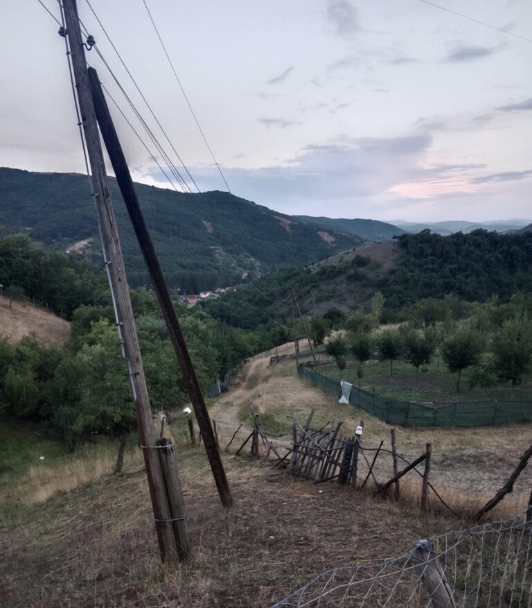 PRIJAVI PROBLEM: Meštani Požežine: „Stubovi se pomeraju, struja je slaba, a kvarovi su sve češći“ (VIDEO)
