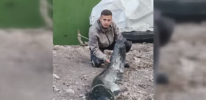 Sta se krije u dubinama Uvca? Porodica Bronja ulovila soma od 45 kilograma (VIDEO)