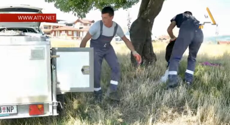 Počelo puštanje pasa iz prihvatilišta u Novom Pazaru (VIDEO)