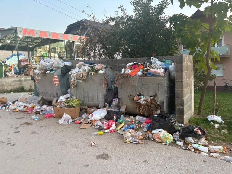 PRIJAVI PROBLEM: „Kontejneri prepuni, smeće na ulicama“: Građani Prijepolja traže rešenje (VIDEO)
