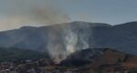 Vatrogasci gase požar kod Atletskog stadiona, dva vozila na terenu (VIDEO)