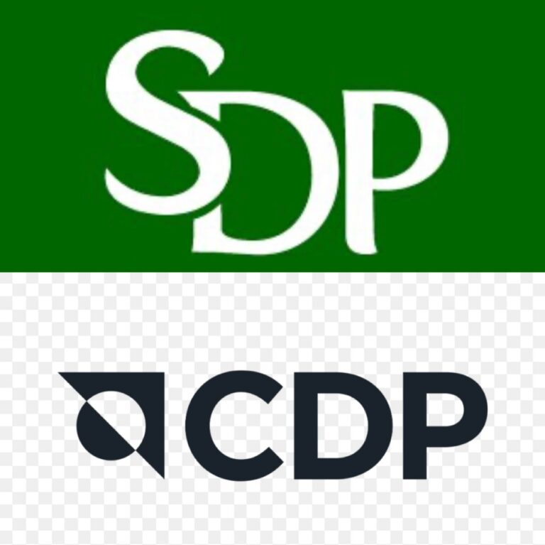 RIK proglasio listu „Rasim Ljajić – Ljudski SDP/CDP“