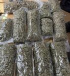 U Novom Pazaru zaplenjeno 10,5 kilograma marihuane, uhapšen muškarac iz Inđije