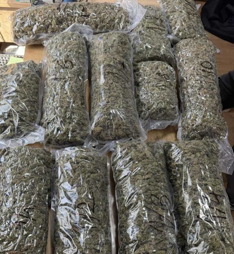 U Novom Pazaru zaplenjeno 10,5 kilograma marihuane, uhapšen muškarac iz Inđije